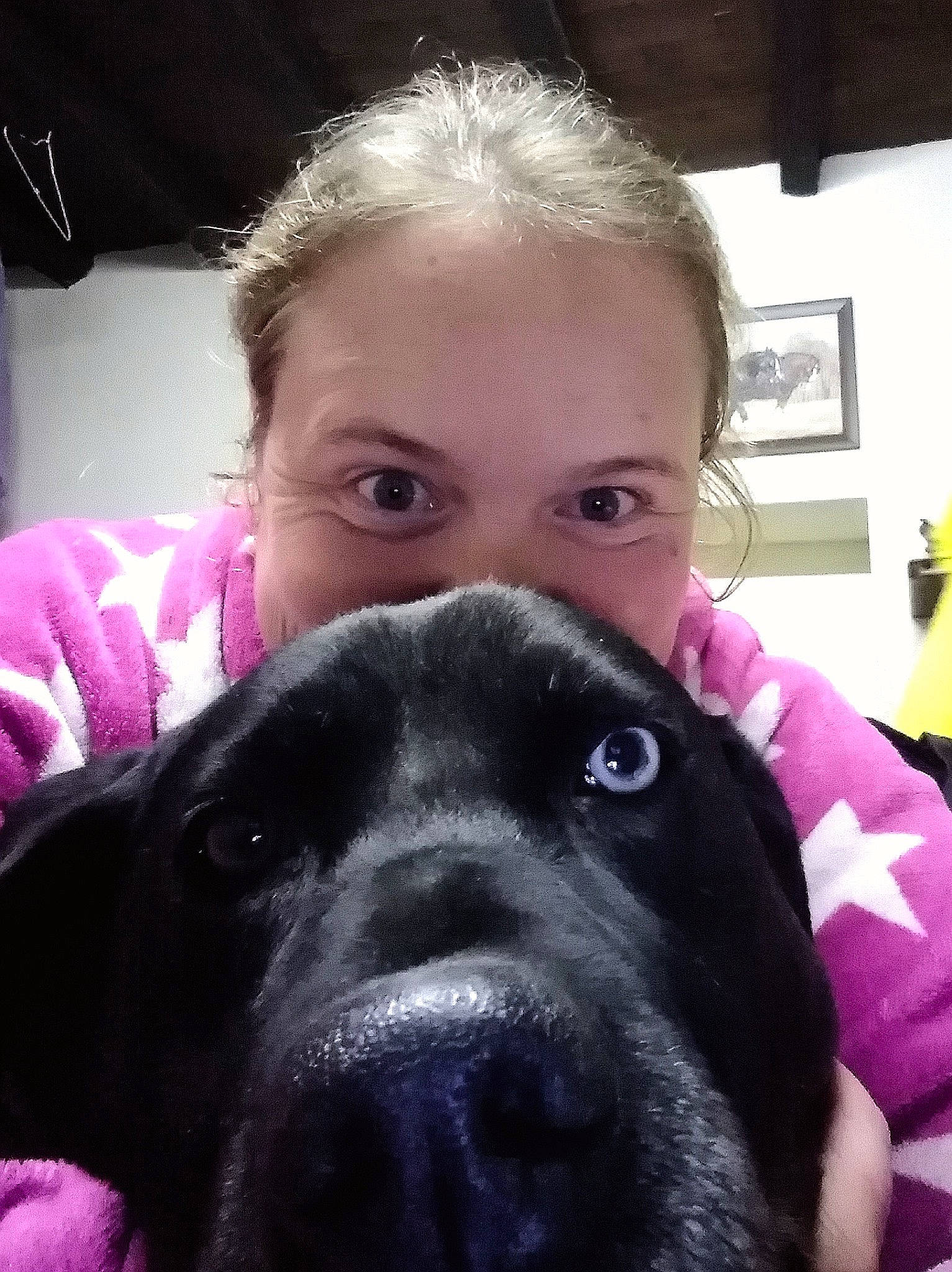 Channa participe au concours pour gagner de l'argent avec cette photo : bandog, beagador, canidae, carnivore, dog, dog_breed, ear, eye, face, head, mammal, nose, photography, puppy, puppy_love, selfie, skin, snout, sporting_group, staffordshire_bull_terrier