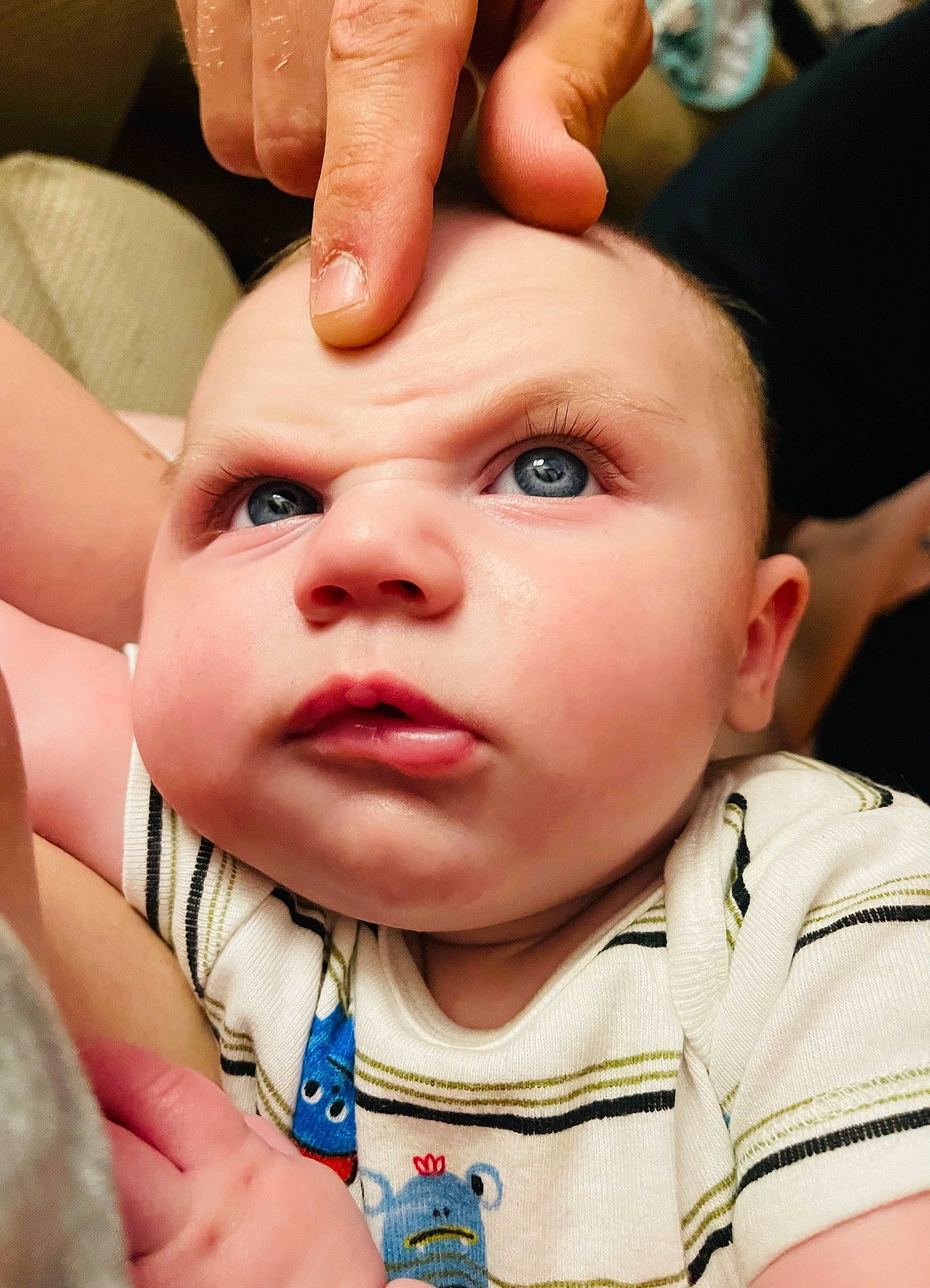 Kaiser is registered to the contest to win money with this photo: cheek, chin, ear, eye, eyebrow, eyelash, forehead, hairstyle, hand, happy, head, human_body, iris, jaw, lip, mouth, muscle, neck, nose, person