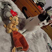 Vagabond participe au concours pour gagner de l'argent avec cette photo : cat, plush_toy, stuffed_animal, bed, blanket, furniture, dresser, birthday_decoration, toy, indoor, curious, black_and_white, animal, soft_toy, orange_cloth, room, household_items, pet, cozy, fabric