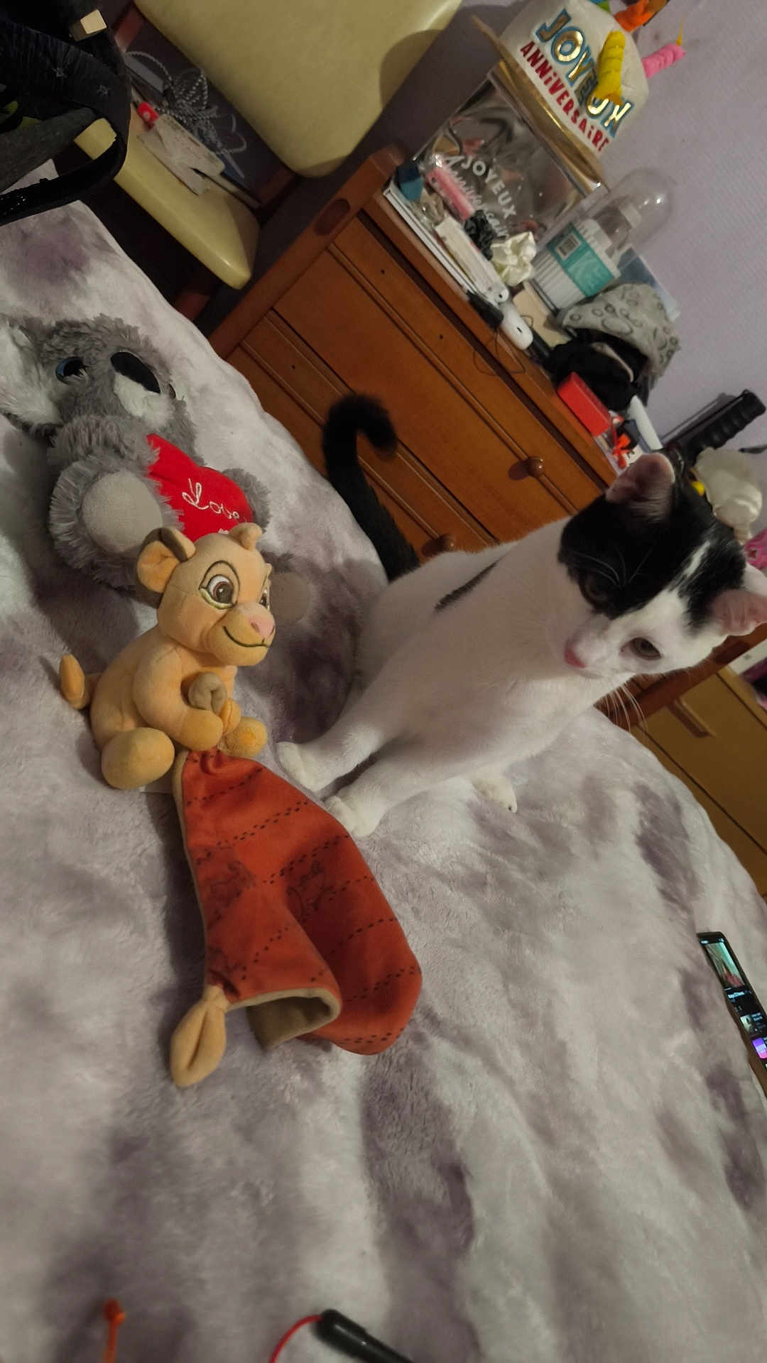 Vagabond participe au concours pour gagner de l'argent avec cette photo : cat, plush_toy, stuffed_animal, bed, blanket, furniture, dresser, birthday_decoration, toy, indoor, curious, black_and_white, animal, soft_toy, orange_cloth, room, household_items, pet, cozy, fabric