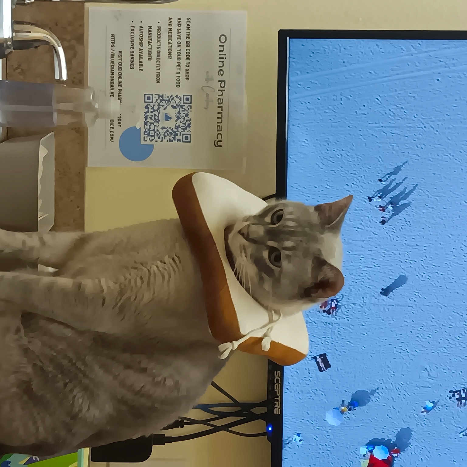 Dr. Fowchi joined the competition — help win amazing prizes! carnivore, cat, corded_phone, domestic_short_haired_cat, door_handle, fawn, felidae, gas, machine, metal, room, security, small_to_medium_sized_cats, tail, visual_arts, whiskers, window, wood