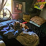 Rascal is registered to the contest to win money with this photo: bed, blanket, blanket_pile, brown_dog, cartoon, cozy, curtain, dim_light, dog, fan, fur, furniture, indoor, pillow, poster, relaxing, room, sleeping, wall_art, window