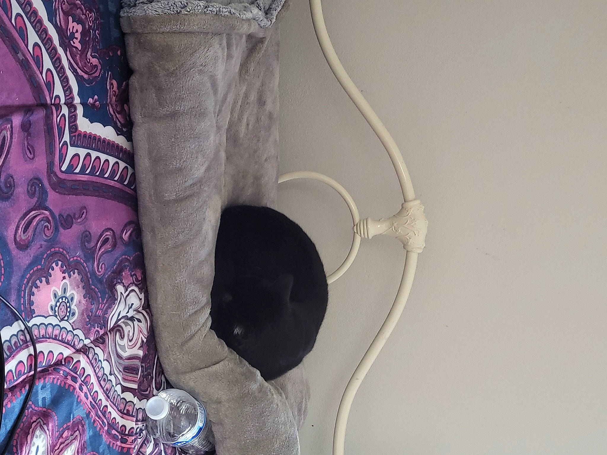 Savvy is registered to the contest to win money with this photo: art, audio_equipment, cable, carmine, comfort, fashion_accessory, fur, grey, human_leg, leather, linens, magenta, motif, pattern, room, sandal, sleeve, thigh, visual_arts, wire