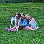 Buddy is registered to the contest to win money with this photo: dog, girl, children, grass, outdoor, smiling, pet, nature, fence, summer, playful, happy, friendship, casual_clothing, childhood, greenery, sunlight, relaxed, toddler, park