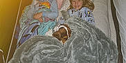 Buddy is registered to the contest to win money with this photo: child, dog, blanket, tent, pajamas, smile, sleeping, cozy, indoor, bed, comfort, happy, rest, young, family, pet, night, relax, cuddling