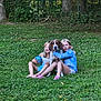 Buddy is registered to the contest to win money with this photo: children, dog, grass, outdoor, trees, fence, ball, playing, summer, friends, nature, pets, greenery, casual, happy, sitting, relaxing, daylight, cute, companionship