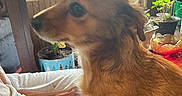 Shirley is registered to the contest to win money with this photo: