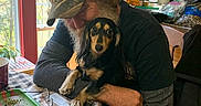 Sophia joined the competition — help win amazing prizes! man, dog, dachshund, indoor, kitchen, table, window, cap, beard, hug, affection, glasses, paper, tray, wooden_cabinets, checkered_tablecloth, natural_light, chair, clothing, pet