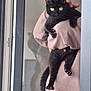 animal, black_cat, cat, claws, climbing, cozy, cute, feline, green_eyes, holding, indoor, looking_at_camera, paw, person, pet, portrait, reflection, shadow, sweatshirt, window