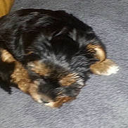 Daisy a rejoint le concours — aidez-le/la à gagner de superbes lots !