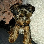 Daisy participe au concours pour gagner de l'argent avec cette photo :