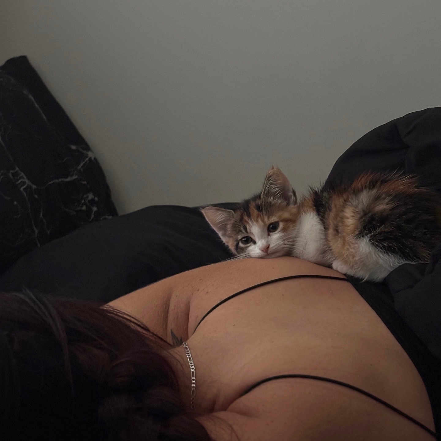 Titi joined the competition — help win amazing prizes! calico_cat, kitten, cat, pet, animal, furry, white_fur, orange_fur, black_fur, green_eyes, lying_down, relaxed, sleepy, indoor, bedroom, bed, blanket, person, portrait, cozy