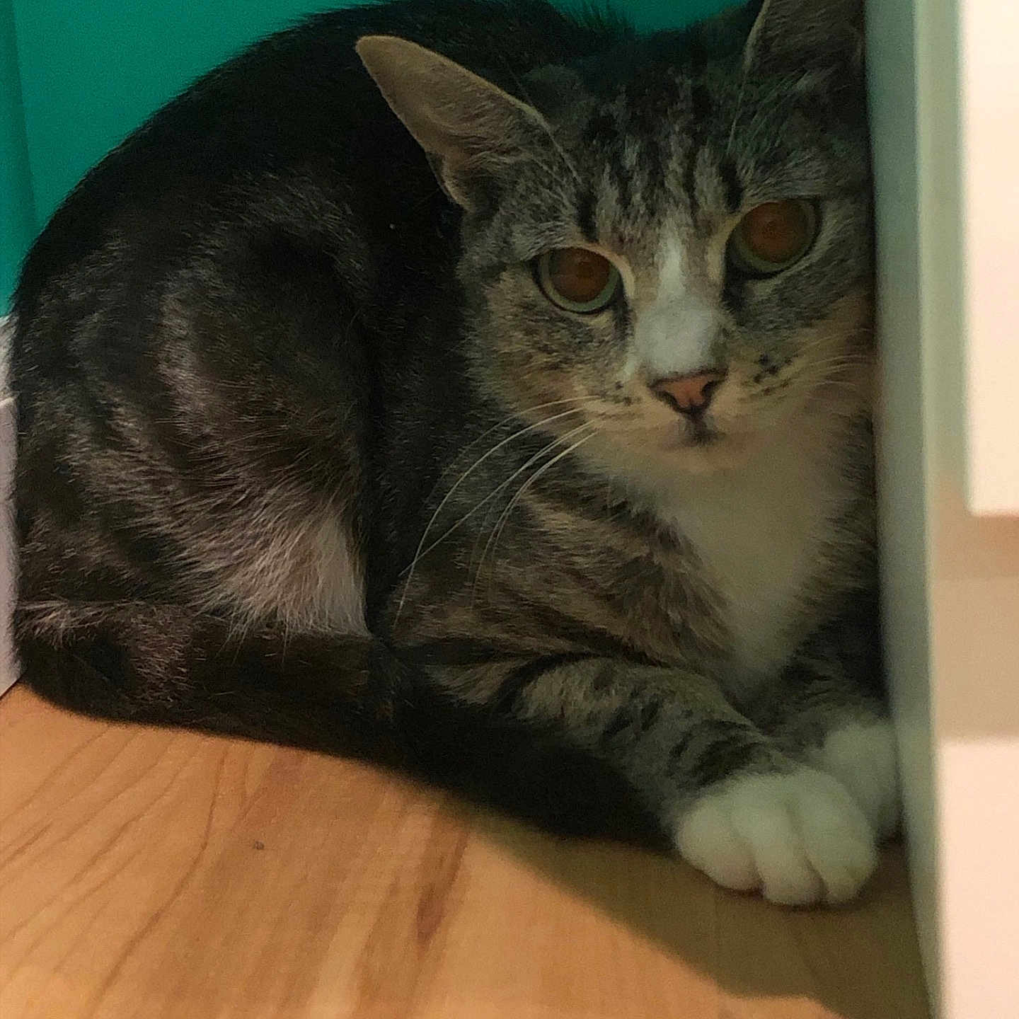 Mulan