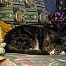 cat, tabby, sleeping, couch, blanket, patterned_fabric, floral_pattern, indoor, pet, resting, cozy, furniture, animal, domestic_cat, relaxed, soft_lighting, home, comfort, cute, furry