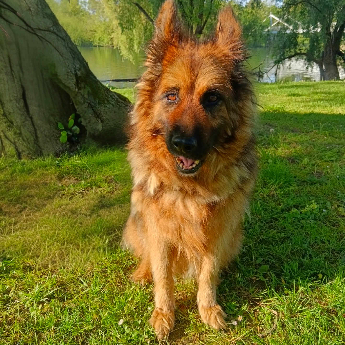 Laska