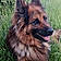 Laska