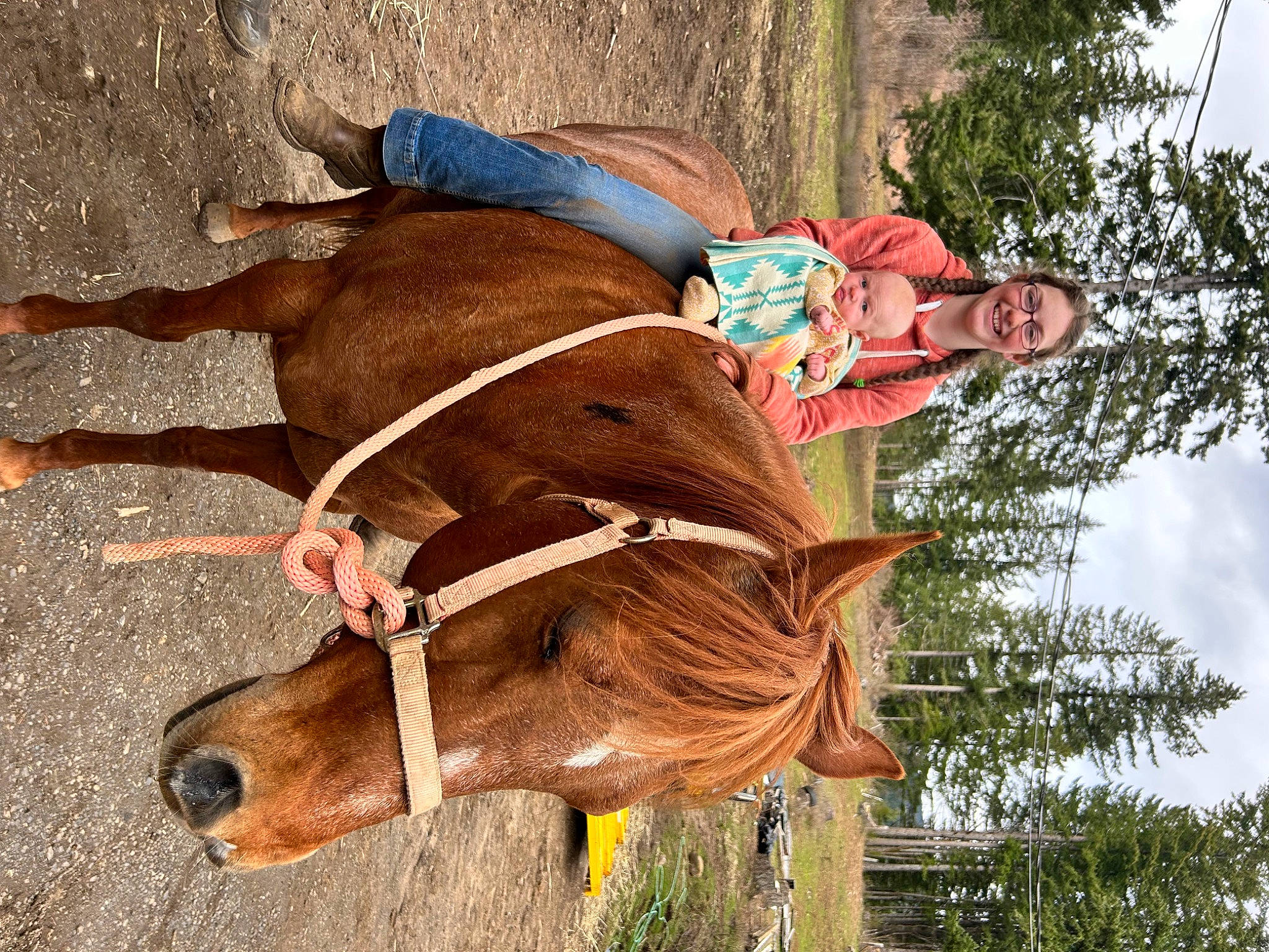 Cheyenne joined the competition — help win amazing prizes! bovine, bridle, dairy_cow, fawn, hat, horse_supplies, horse_tack, joy, landscape, liver, livestock, pack_animal, person, pet_supply, plant, recreation, rein, sky, snout, sorrel