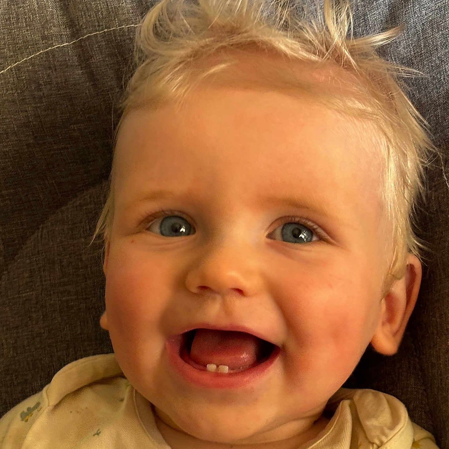 Raphaël participe au concours pour gagner de l'argent avec cette photo : baby, blonde_hair, blue_eyes, child, close_up, clothing, cute, expression, fabric, face, happy, head, infant, joyful, person, portrait, skin, smile, teeth, toddler