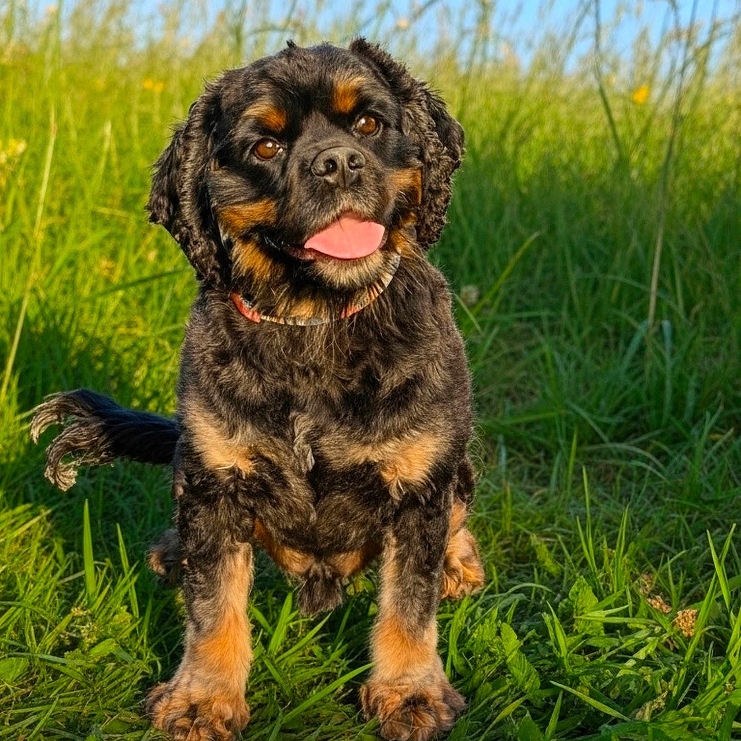 Charlie