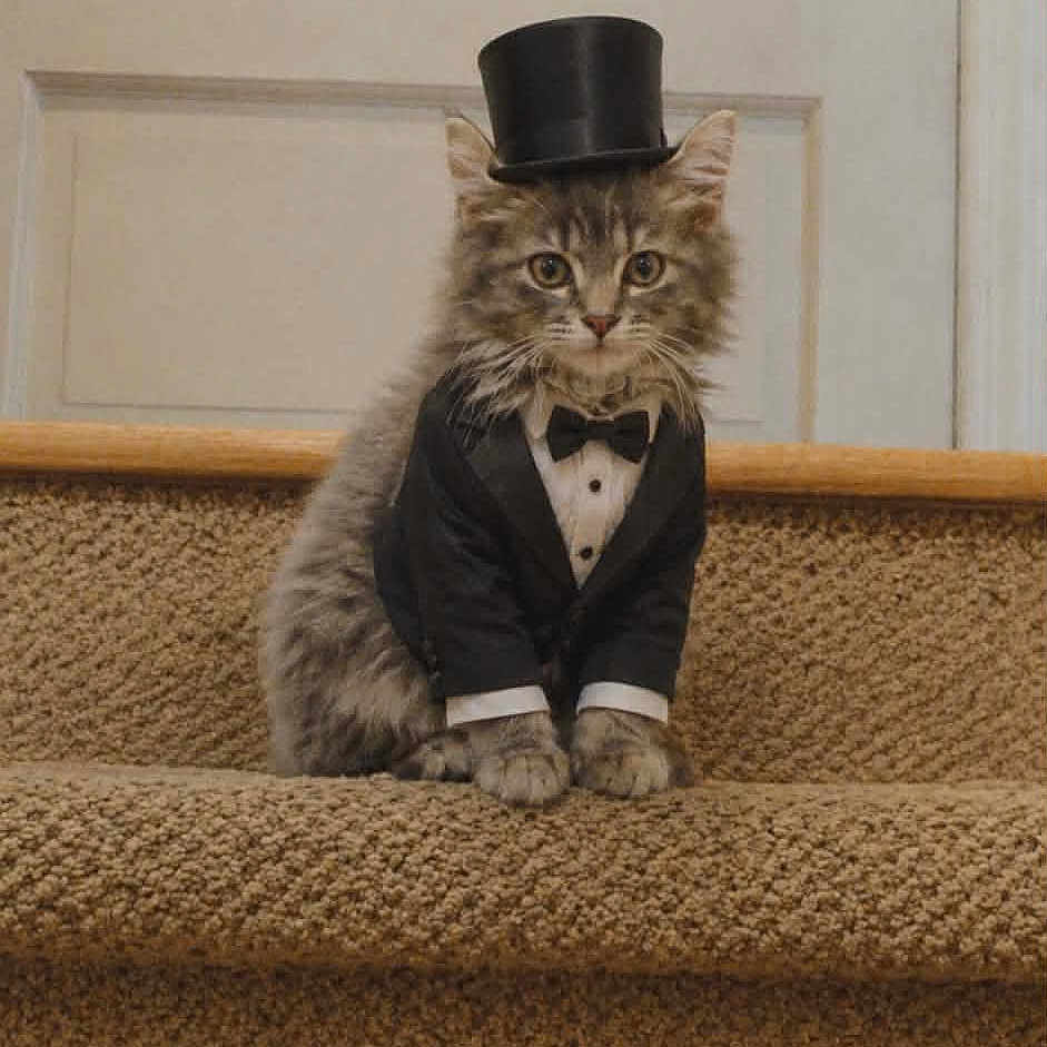 Romeo