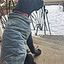 dog, black_dog, denim_jacket, collar, sitting, outdoor, snow, steps, concrete, backyard, fence, house, trees, winter, pet, canine, side_view, daylight, quiet, calm
