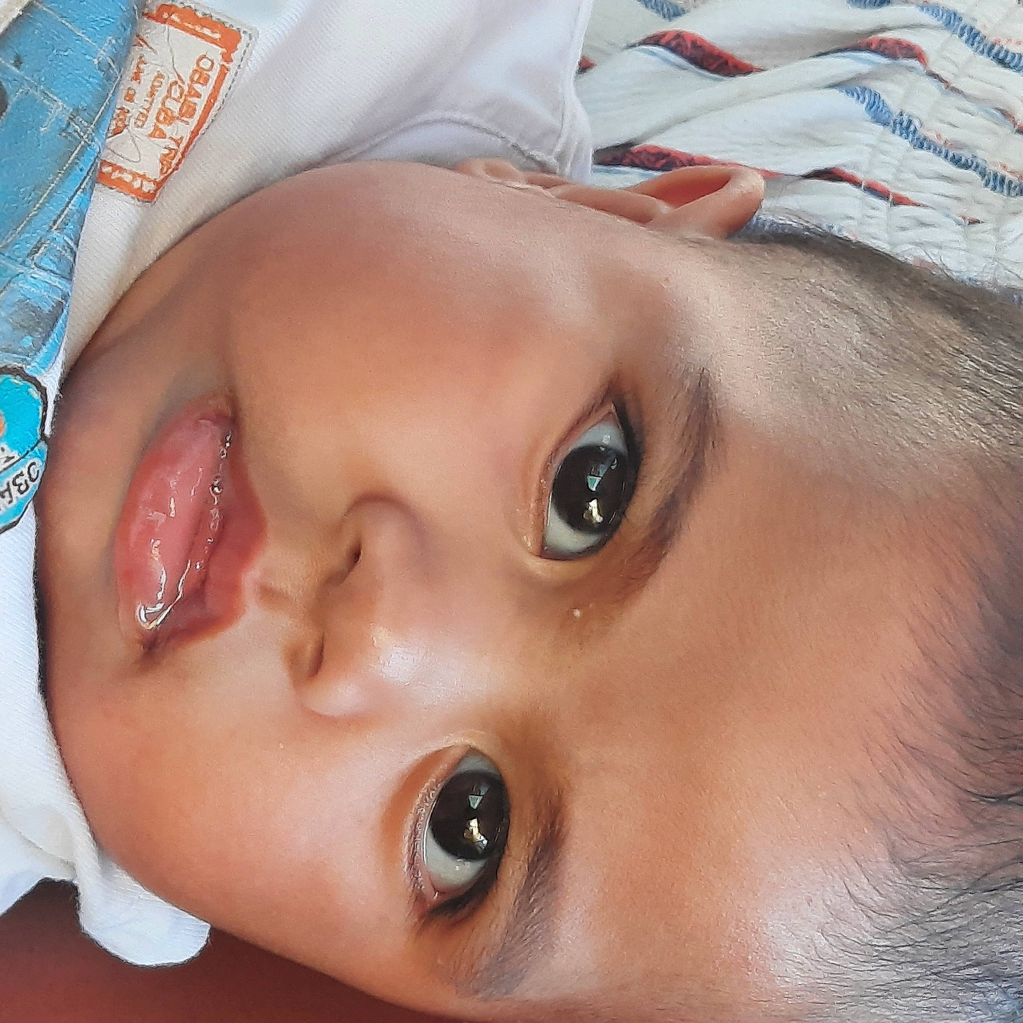 Torea a rejoint le concours — aidez-le/la à gagner de superbes lots ! black_hair, cheek, child, close_up, ear, eyebrow, eyelash, hair, happy, head, iris, jaw, lip, mouth, neck, no_expression, nose, organ, person, skin