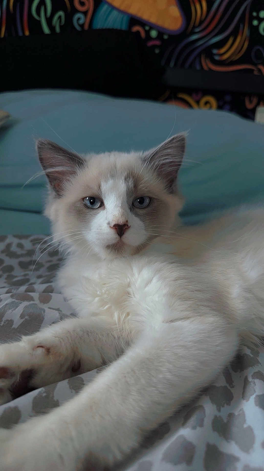 Milo