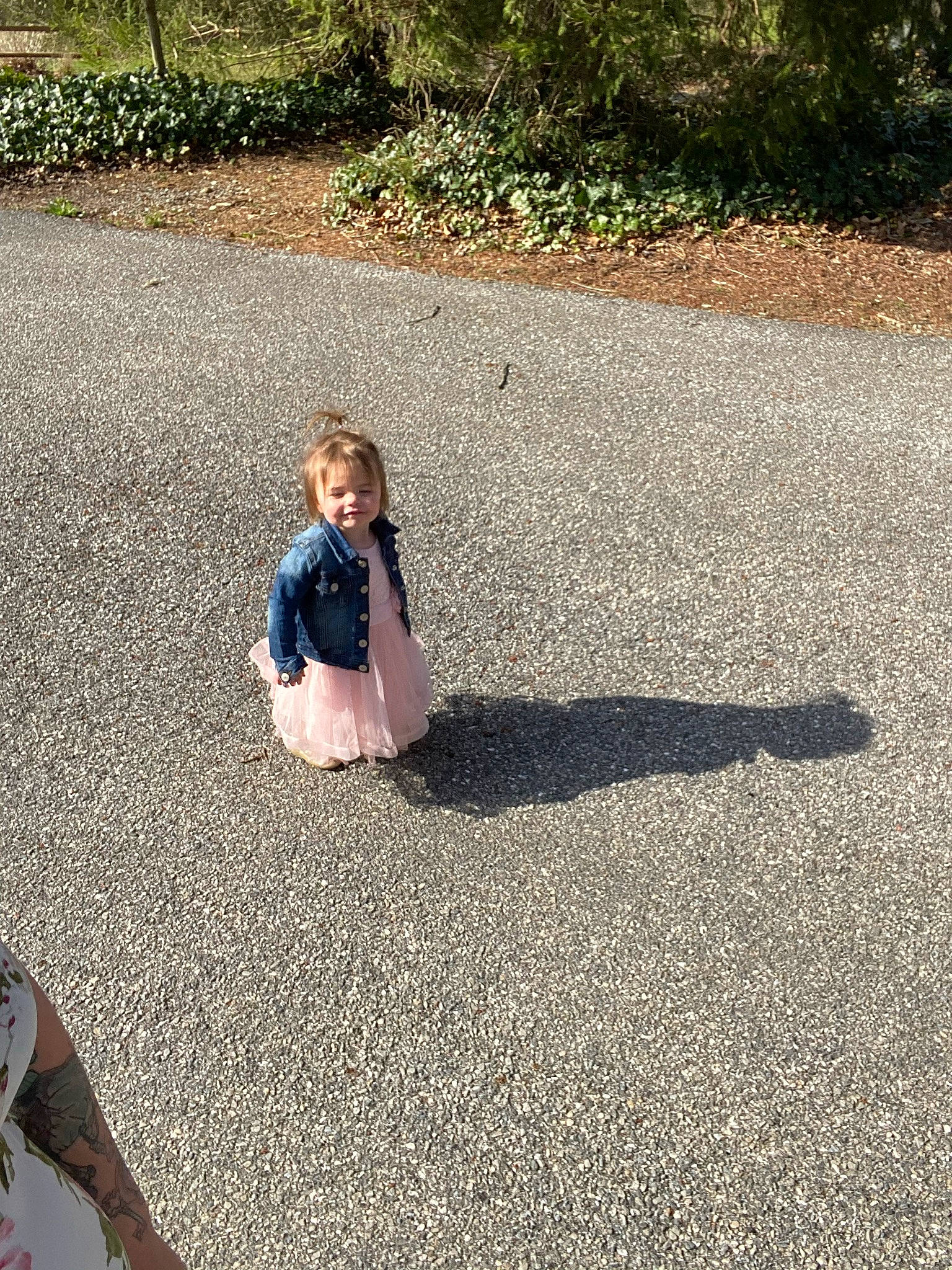 Meadow is registered to the contest to win money with this photo: asphalt, baby, concrete, flooring, grass, grass_family, joy, landscape, lawn, leisure, people_in_nature, person, plant, recreation, road, road_surface, sand, sidewalk, tar, tints_and_shades