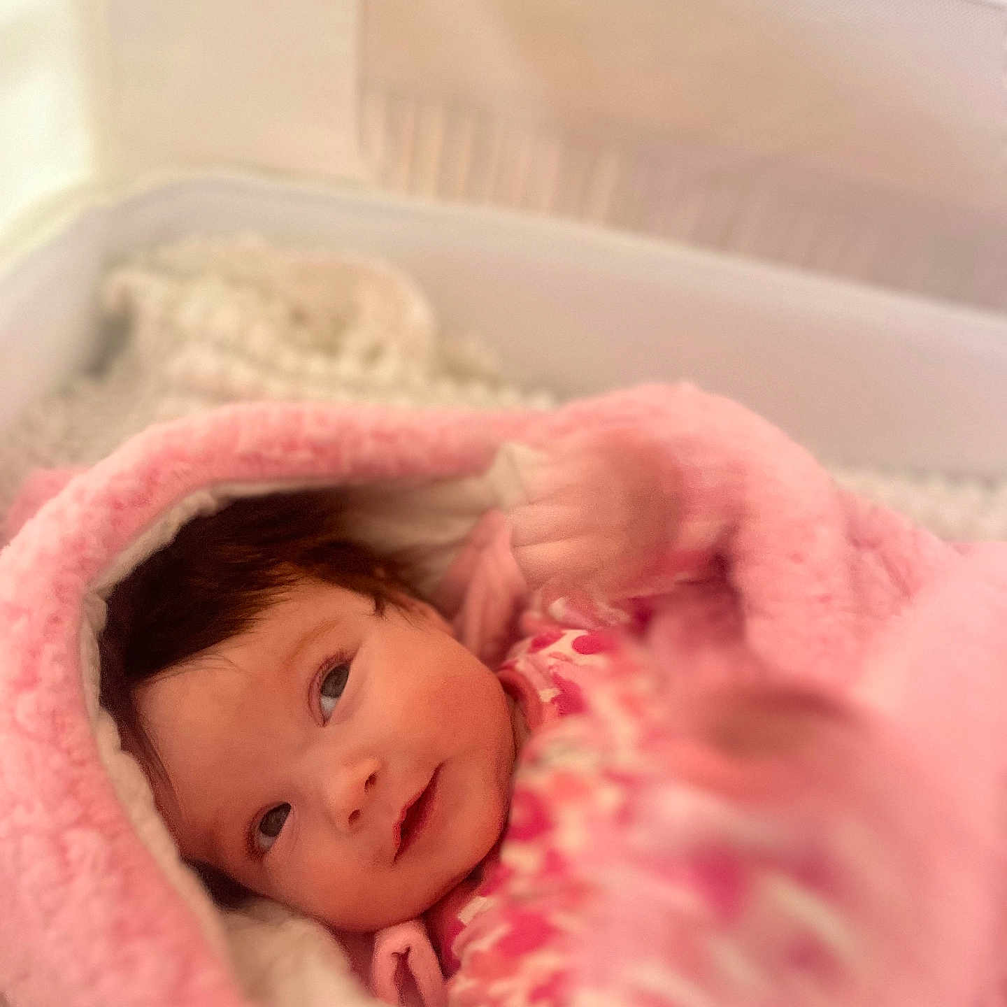 Poppy is registered to the contest to win money with this photo: baby, bed, bedroom, blanket, cradle, crib, cushion, face, furniture, head, homedecor, indoors, infantbed, newborn, person, photography, portrait, quilt, room, sleeping