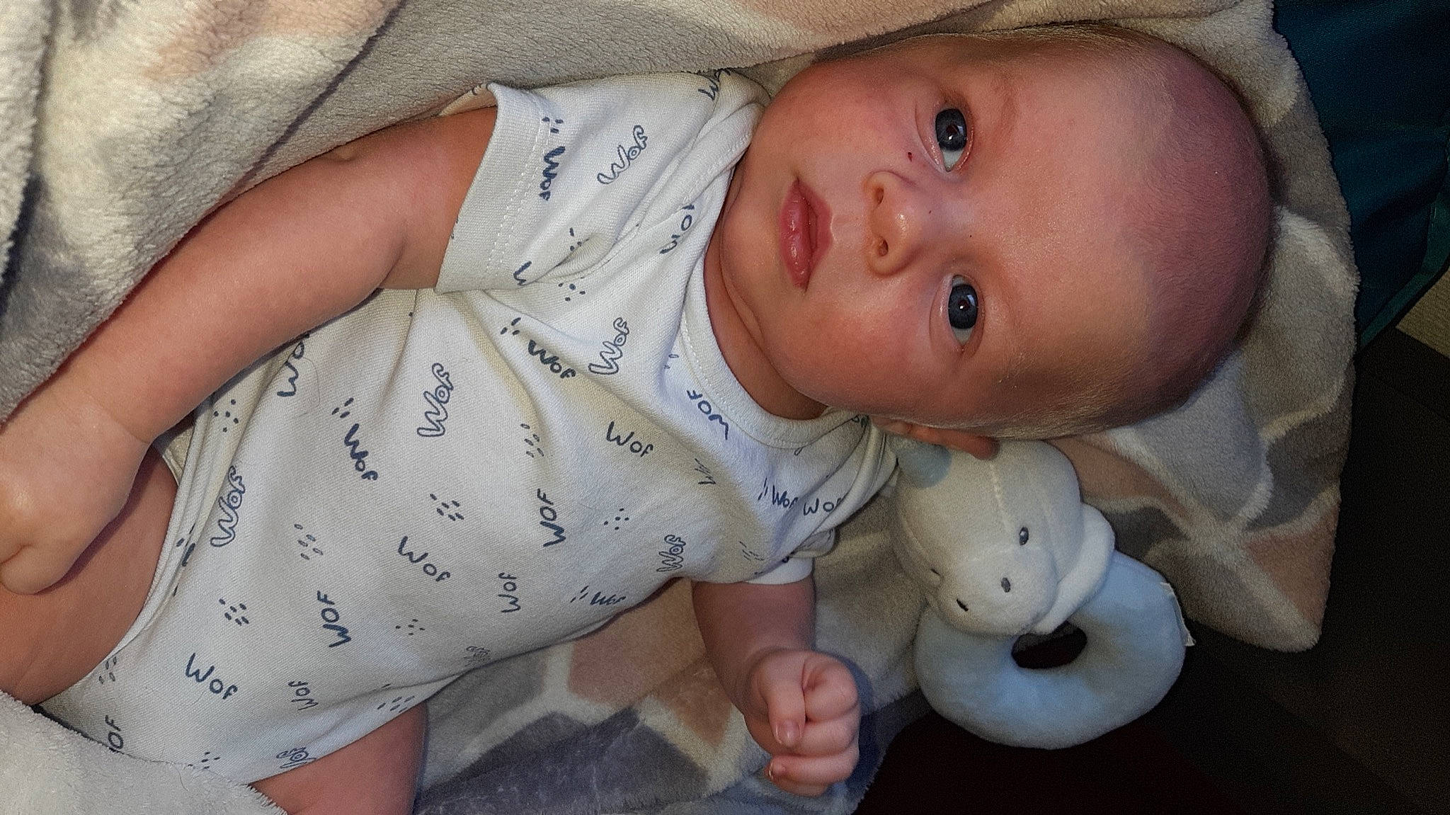 Noah a rejoint le concours — aidez-le/la à gagner de superbes lots ! baby, baby_toddler_clothing, cheek, child, comfort, dress, facial_expression, finger, hand, headgear, human_body, iris, lip, mammal, mouth, nose, person, skin, sleeve, toddler