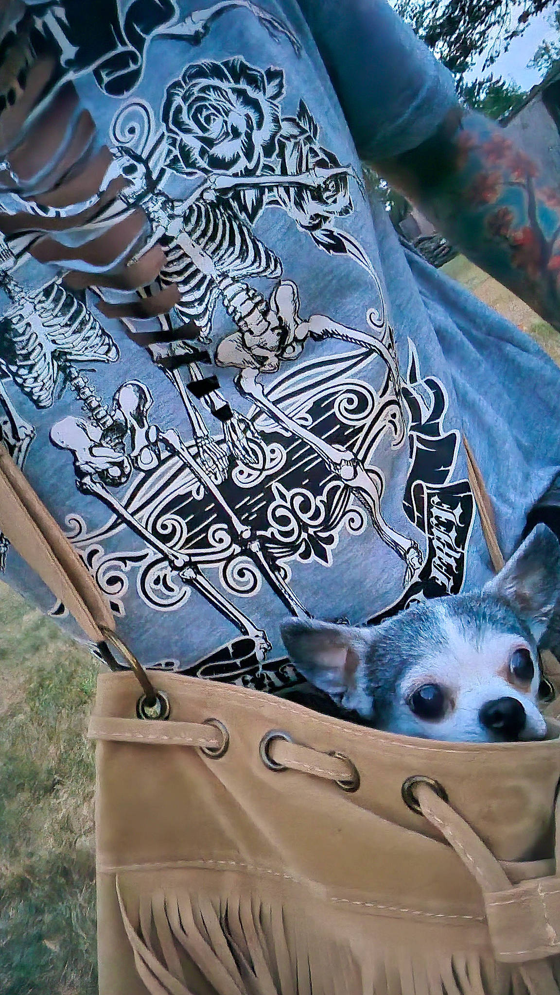 Baby is registered to the contest to win money with this photo: bag, carnivore, companion_dog, dog, dog_breed, dog_supply, electric_blue, fashion_accessory, felidae, font, fur, linens, luggage_and_bags, pattern, sleeve, t_shirt, textile, toy_dog, visual_arts, whiskers