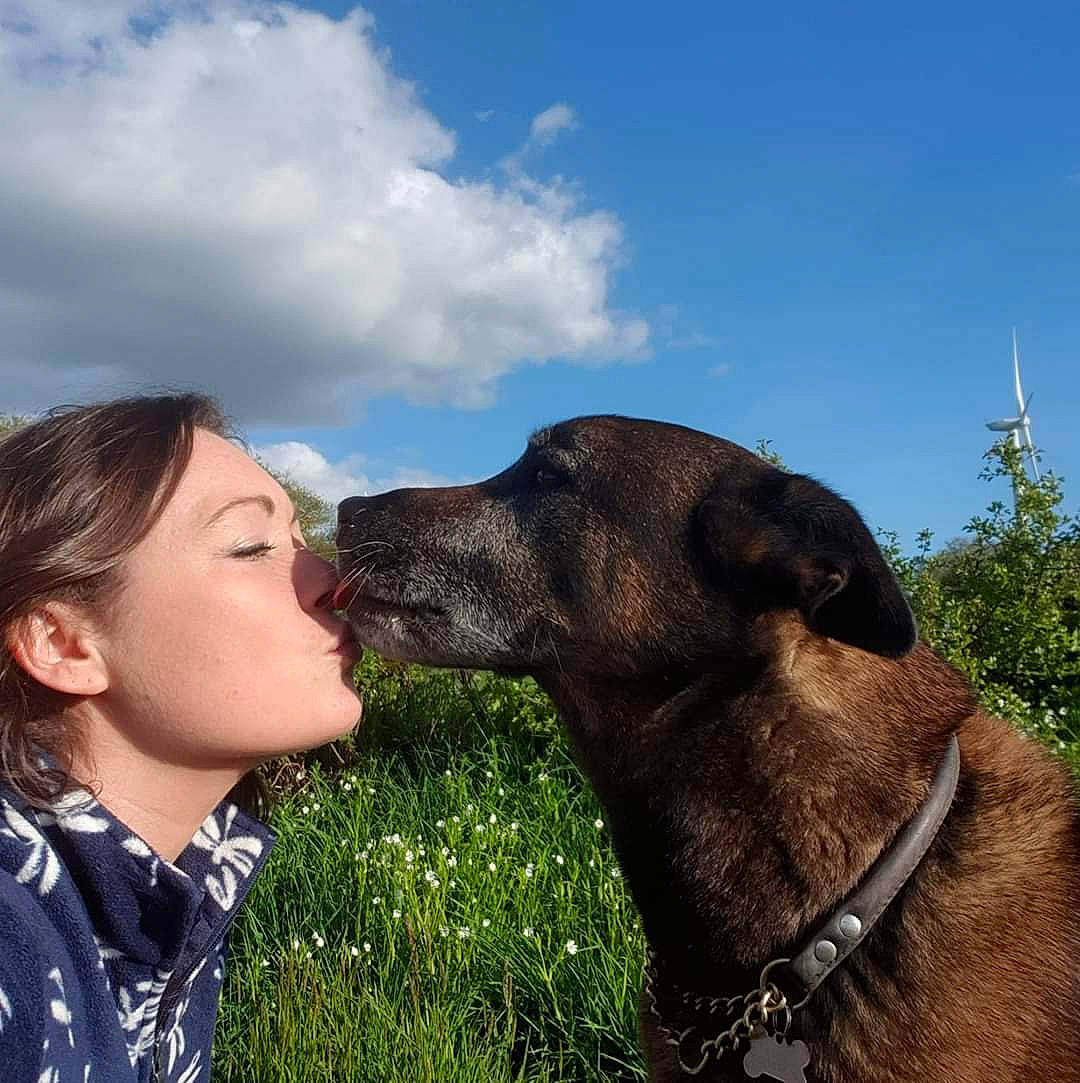 Alfie participe au concours pour gagner de l'argent avec cette photo : carnivore, cloud, collar, companion_dog, dog, dog_breed, dog_collar, fawn, gesture, grass, grassland, happy, kiss, liver, mammal, people_in_nature, plant, sky, tree, working_animal