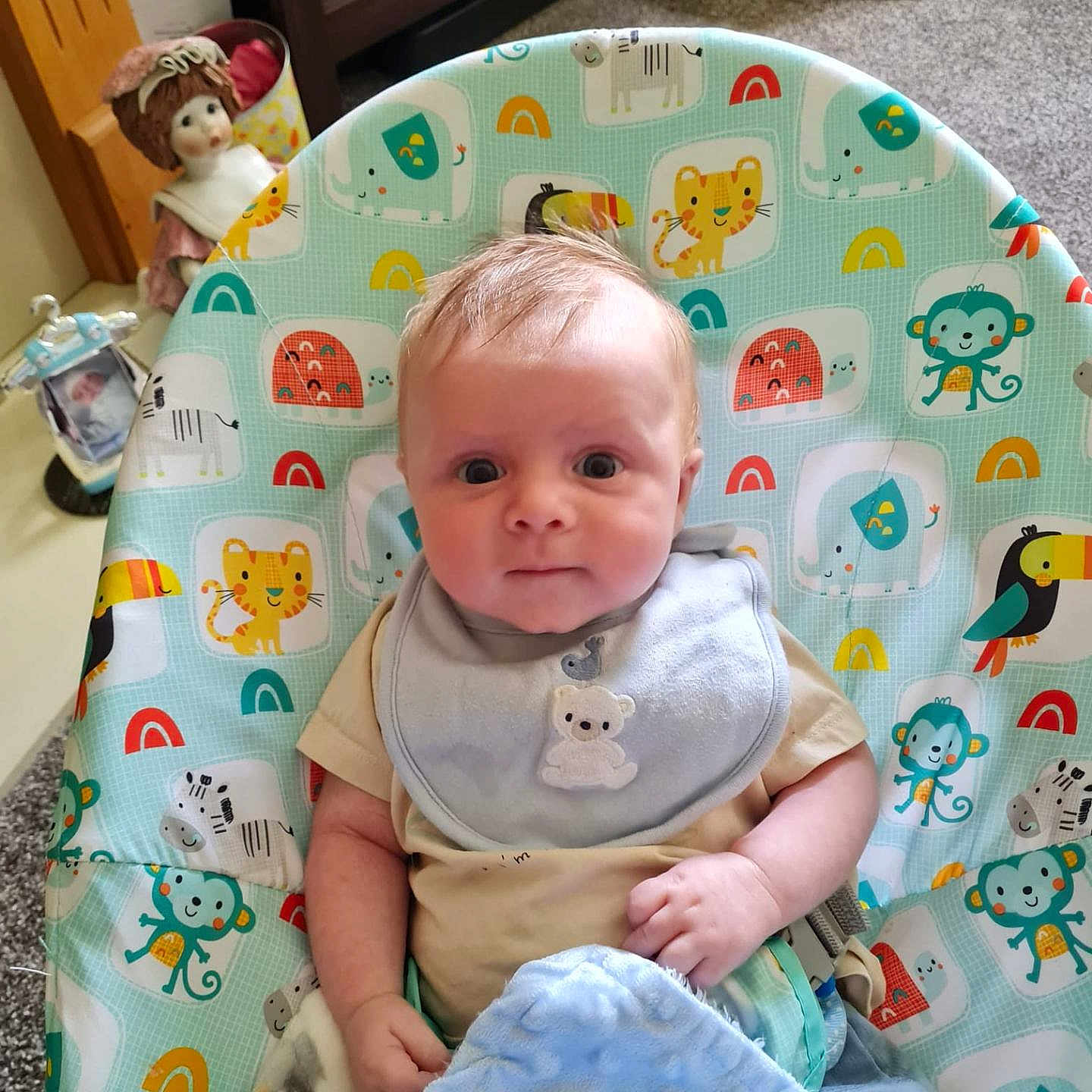 Henley joined the competition — help win amazing prizes! animal, baby, bed, bird, blanket, crib, cushion, face, furniture, head, homedecor, indoors, infantbed, newborn, penguin, person, photography, portrait, quilt, toy