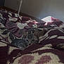 kitten, cat, blanket, pattern, bed, indoor, cozy, fan, wall, gray, tabby, pet, small, cute, animal, fur, sleepy, resting, soft, comfort