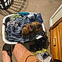 Cali joined the competition — help win amazing prizes! can, carpet, casual, clothes, cozy, dog, dressed_puppy, dresser, flip_flops, footwear, hand, household, indoor, laundry_basket, leg, person, puppy, relaxing, shorts, trash_bag