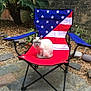 cat, chair, outdoor, patio, stone_floor, plant, brick_wall, folding_chair, white_cat, animal, pet, leaf_litter, garden, nature, relaxing, sunlight, stars, stripes, pattern, furniture
