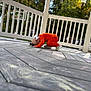 Allison is registered to the contest to win money with this photo: bow, casual, chalk_drawings, child, crouching, curious, daylight, feet, head, nature, orange_clothing, outdoor, person, playground, shoes, toddler, trees, white_fence, wooden_deck, young_child