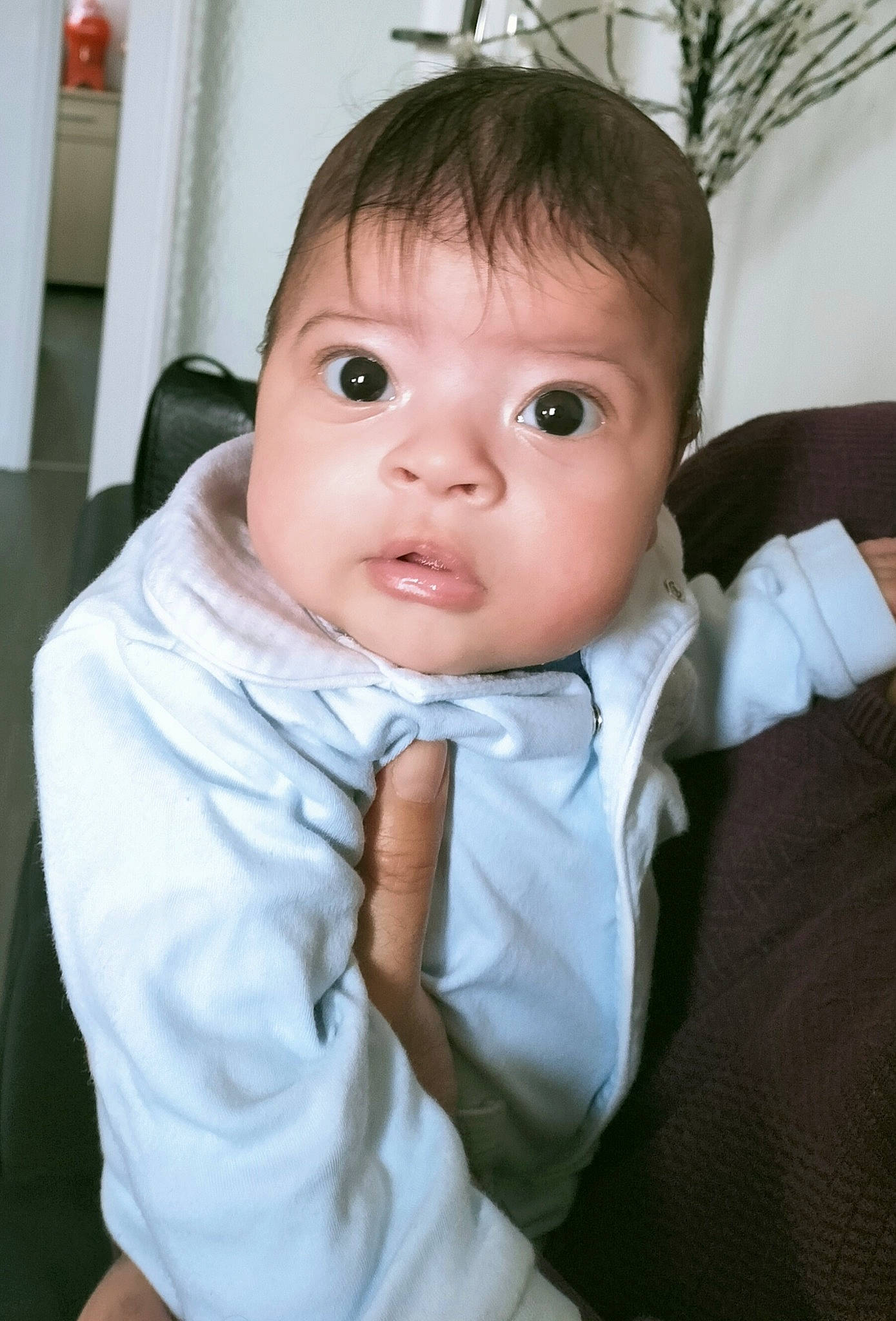 Ahmed a rejoint le concours — aidez-le/la à gagner de superbes lots ! baby, baby_toddler_clothing, cheek, child, collar, comfort, dress_shirt, eyelash, flash_photography, formal_wear, fun, fur, iris, lip, nose, person, sitting, skin, sleeve, toddler