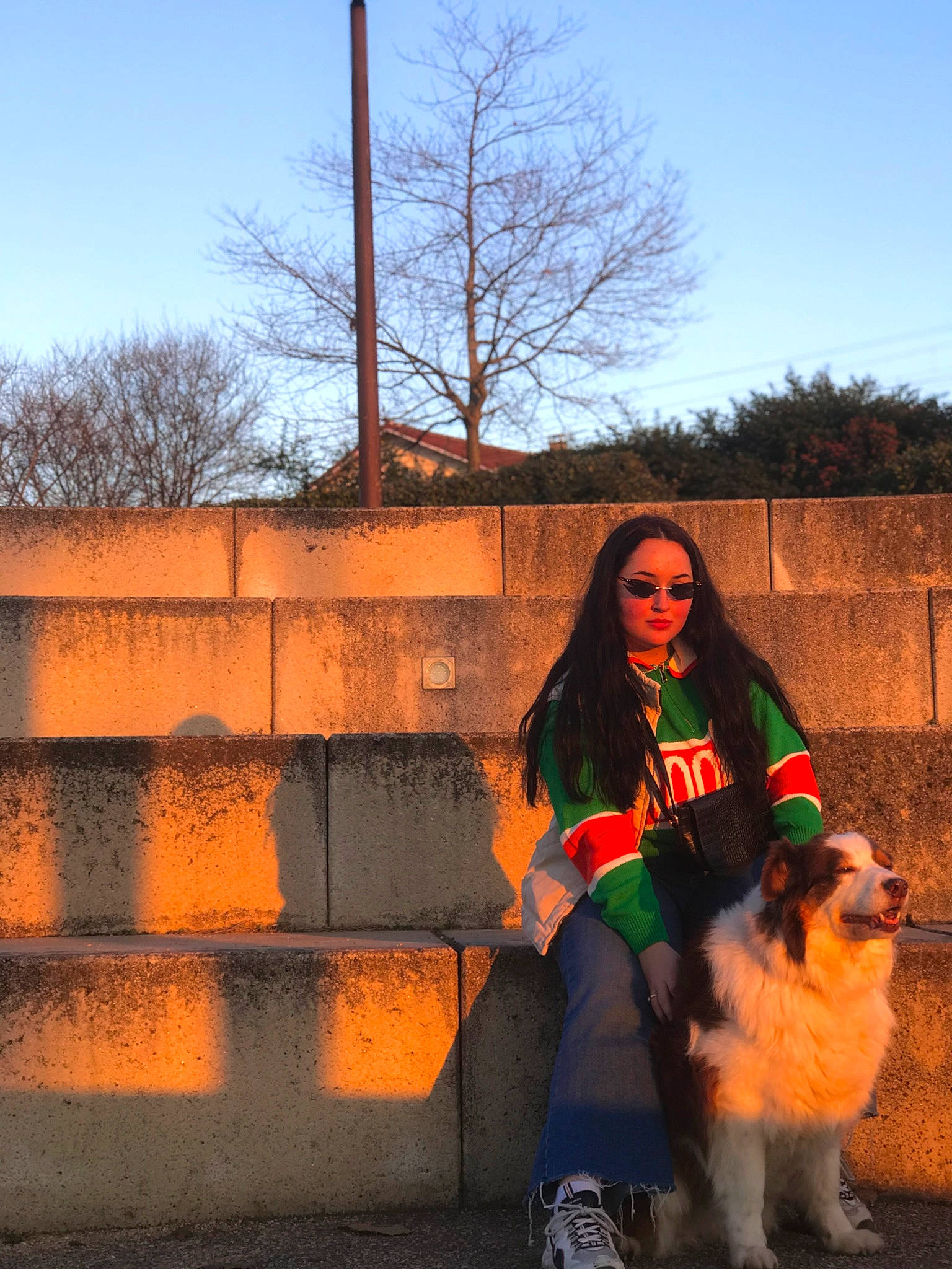 Finka participe au concours pour gagner de l'argent avec cette photo : brick, carnivore, companion_dog, dog, eyewear, grass, happy, jeans, landscape, light, long_hair, morning, photograph, sky, sneakers, standing, sunglasses, tints_and_shades, tree, wood