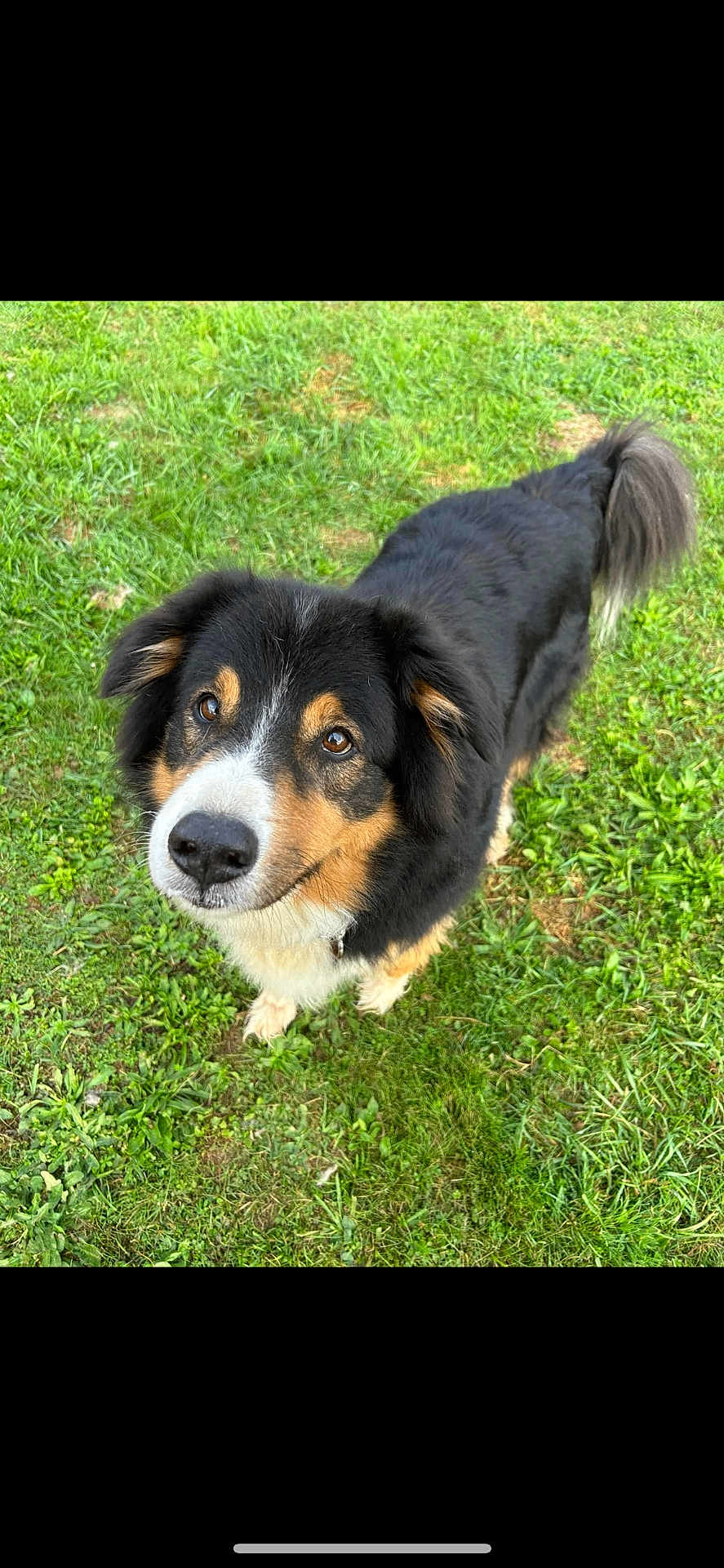 Tobi