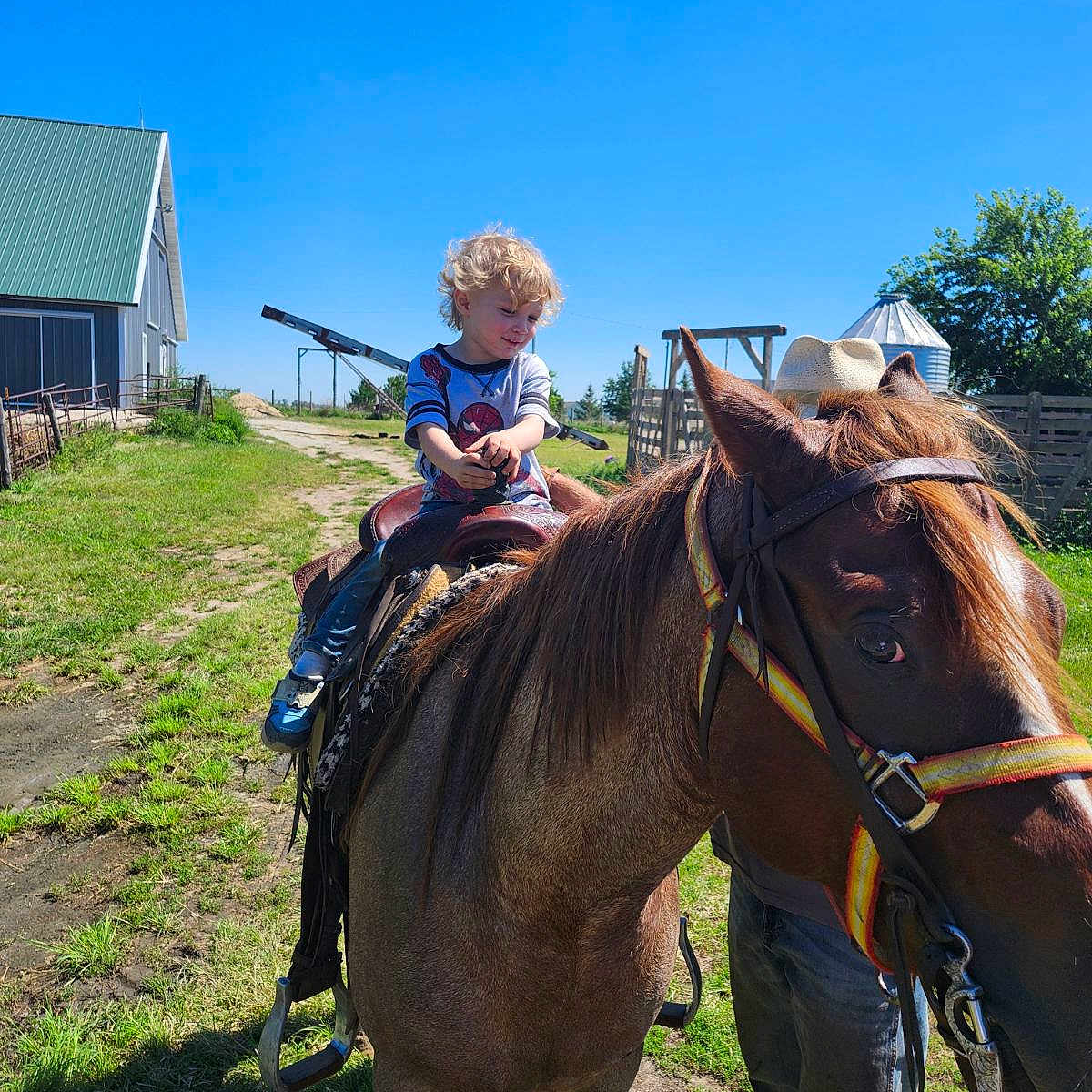 Ragnar Daniel-Lane is registered to the contest to win money with this photo: animal, architecture, backyard, boy, building, child, colthorse, face, grass, head, horse, male, nature, outdoors, person, photography, plant, portrait, shelter, yard