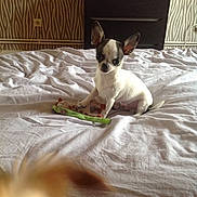 Guess participe au concours pour gagner de l'argent avec cette photo :