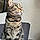 Titou
