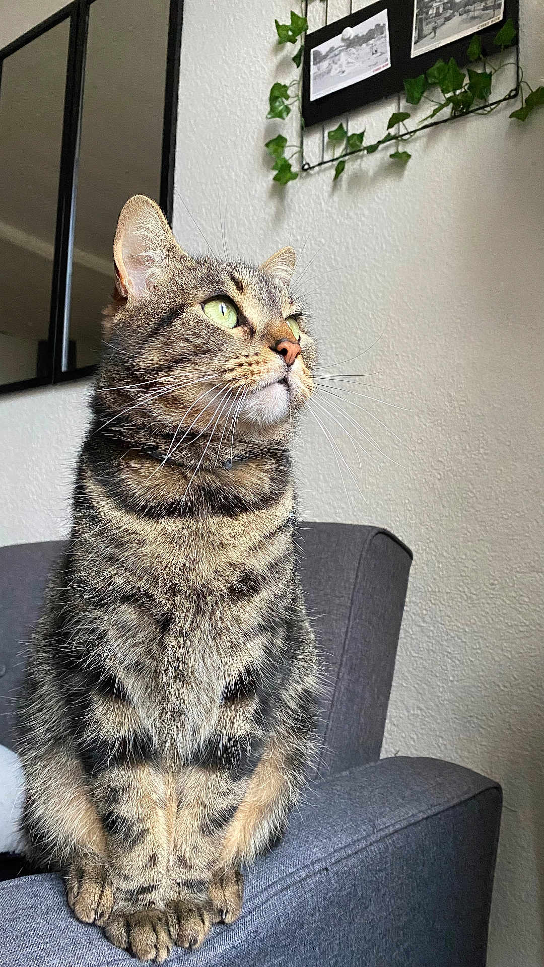 Titou