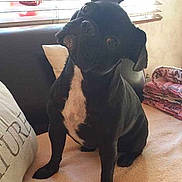 Hally participe au concours pour gagner de l'argent avec cette photo :