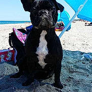 Hally participe au concours pour gagner de l'argent avec cette photo :
