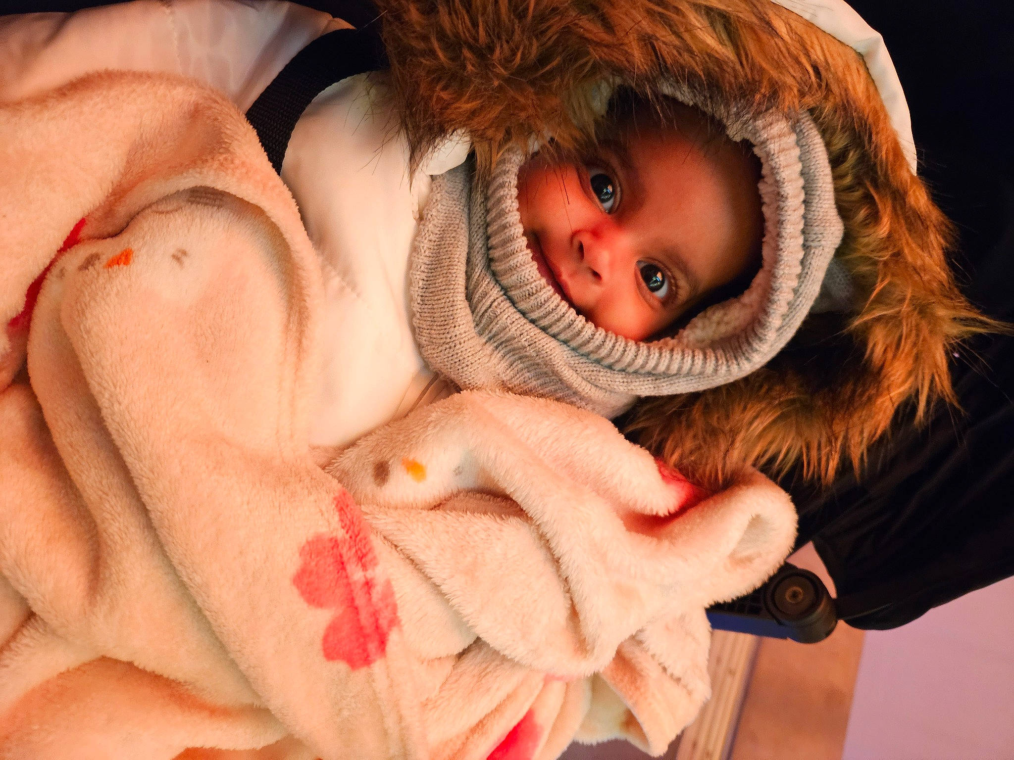 Nayah participe au concours pour gagner de l'argent avec cette photo : doll, eye, eyebrow, eyelash, fawn, finger, fur_clothing, hand, headwear, human_body, iris, lip, mouth, nose, person, pink, skin, snout, stuffed_toy, toy