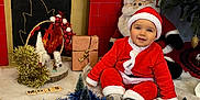 Loeven a rejoint le concours — aidez-le/la à gagner de superbes lots ! animal, baby, bird, box, chicken, christmas, christmasdecorations, clothing, face, festival, fireplace, fowl, hat, head, indoors, nature, outdoors, person, poultry, snow