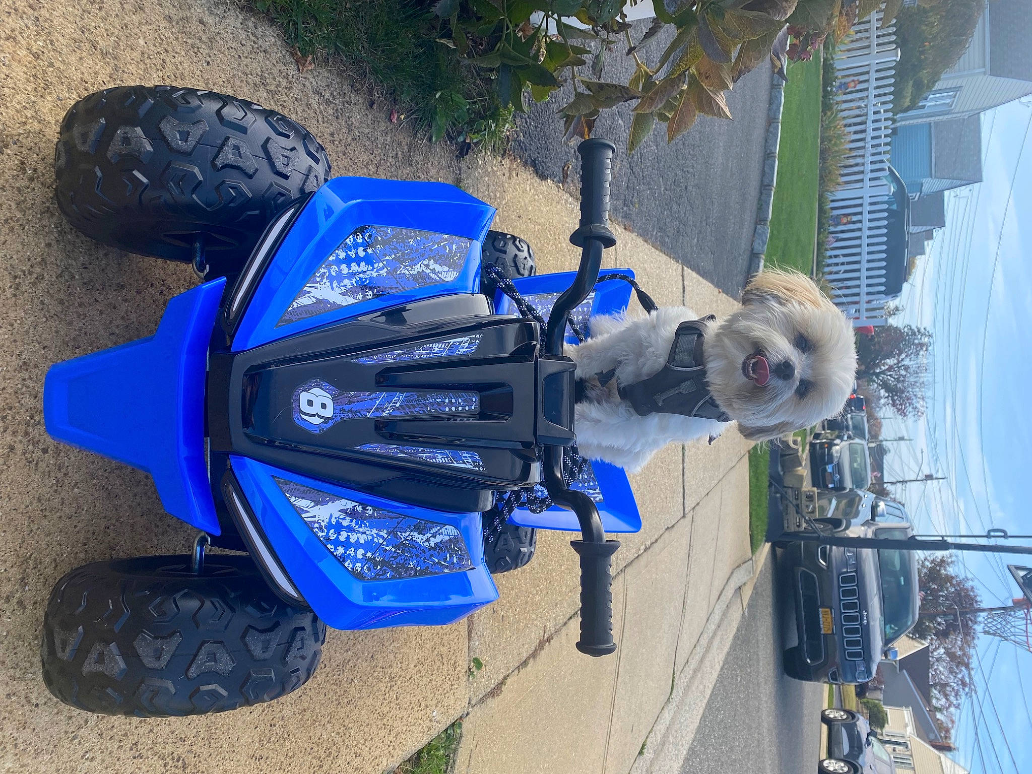 Beau is registered to the contest to win money with this photo: auto_part, automotive_design, automotive_exterior, automotive_lighting, automotive_tire, automotive_wheel_system, azure, blue, electric_blue, fender, motor_vehicle, motorcycle, motorcycle_accessories, plant, rim, sky, tire, tree, vehicle, wheel