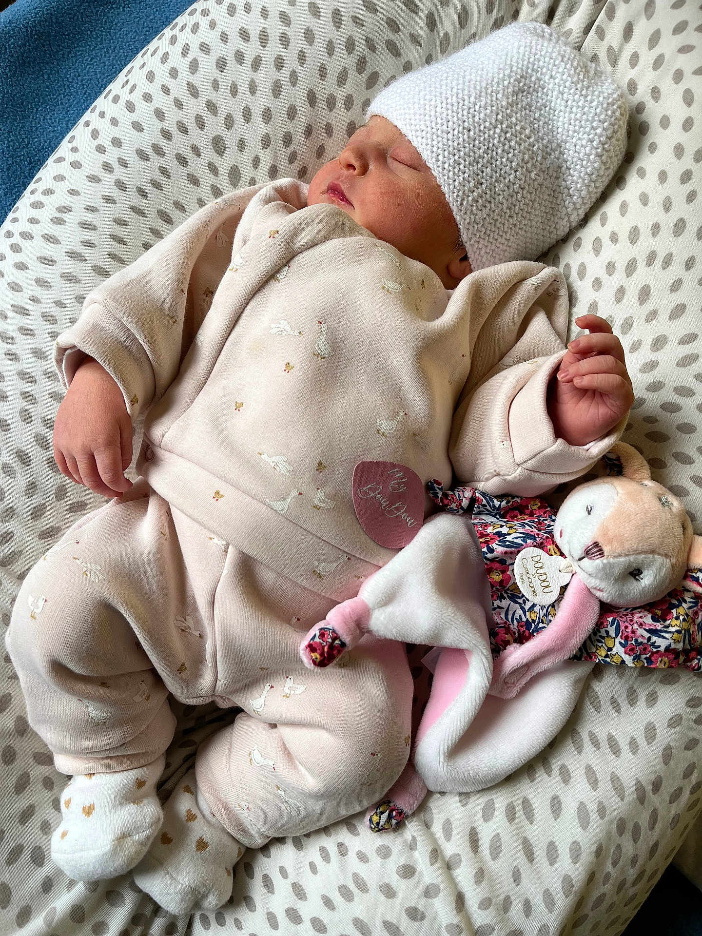 éline participe au concours pour gagner de l'argent avec cette photo : newborn, baby, sleeping, hat, plush_toy, cushion, blanket, infant, soft_toys, clothing, pink_outfit, knitted_hat, cute, peaceful, indoor, portrait, child, resting, sleep, cozy